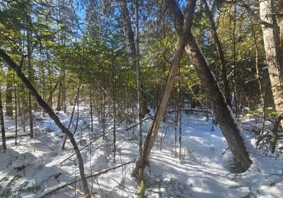 77 8 North lot
