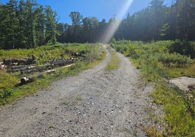 740 20260829 160347