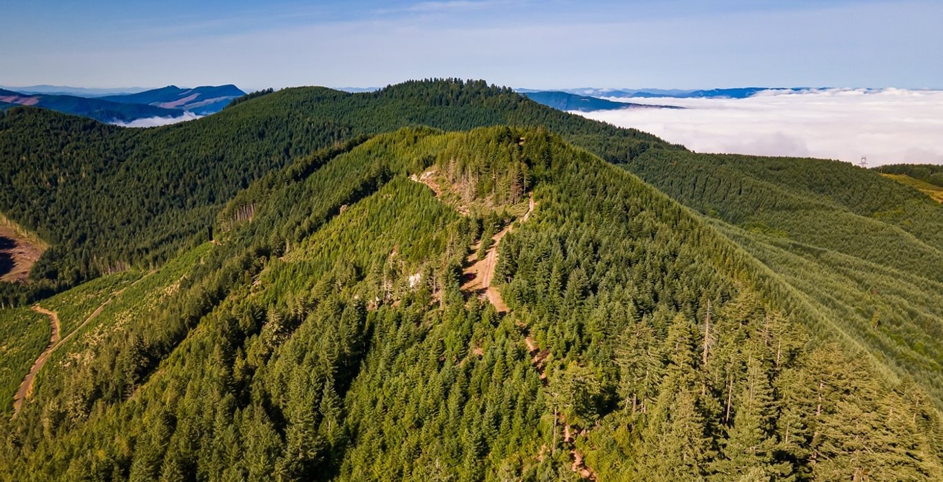 741 DJI 0770 HDR25