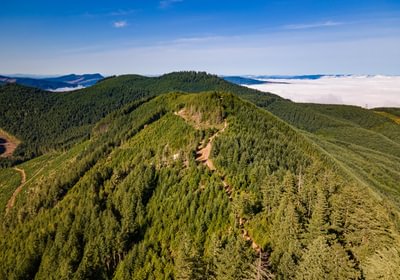741 DJI 0770 HDR25