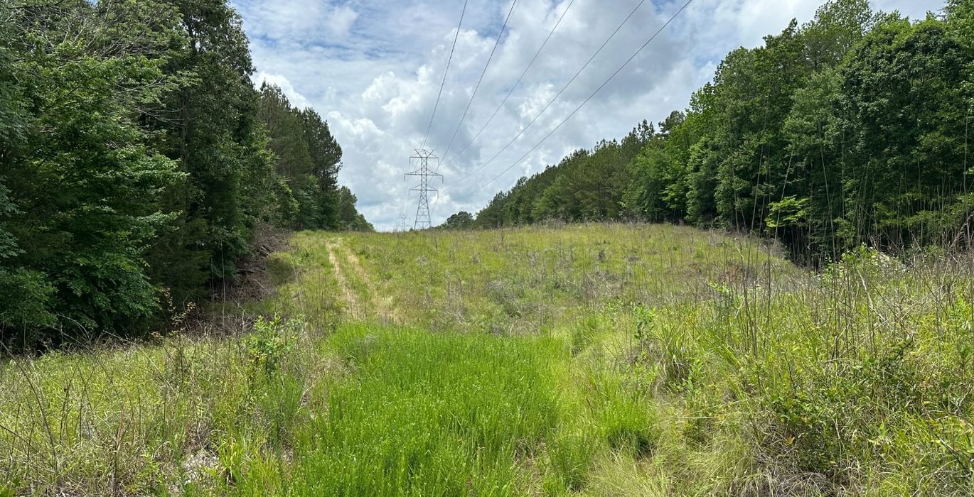 741 IMG 1731