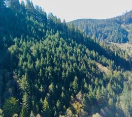 744 IMG20260408121524103