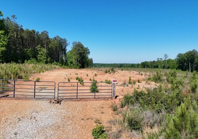 745 AFM Eaton Ferry Photo 1