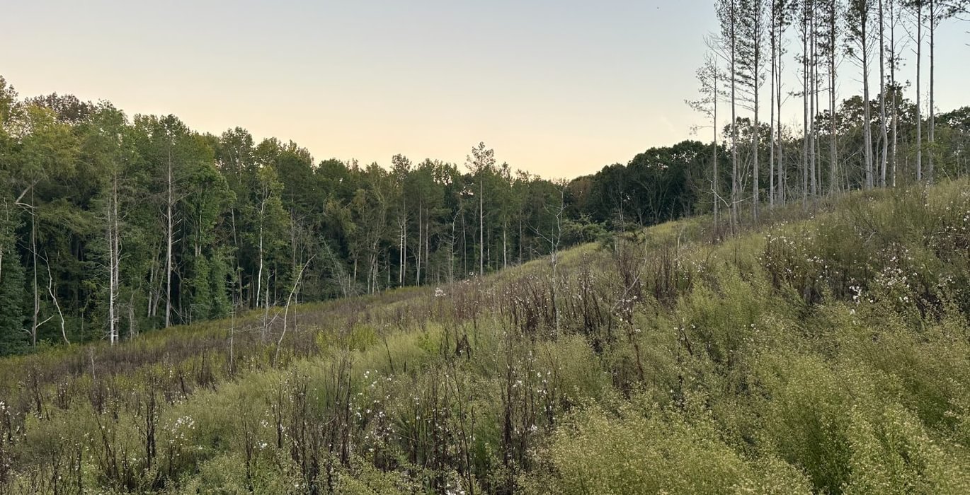 745 IMG 2817