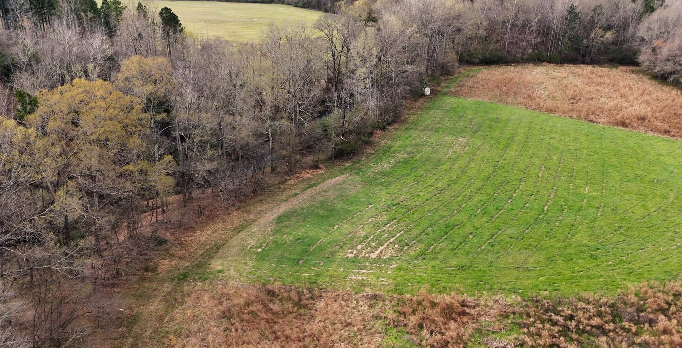 746 AFM West Fork 85 Photo 9