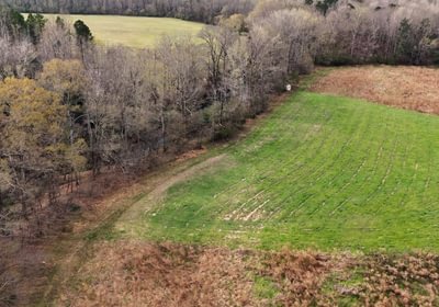 746 AFM West Fork 85 Photo 9