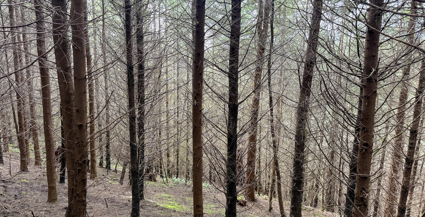 748 Photo Feb 26 2026 2 23 38 PM