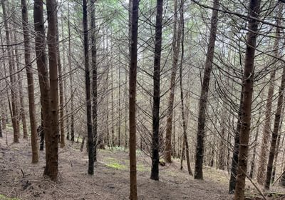 748 Photo Feb 26 2026 2 23 38 PM