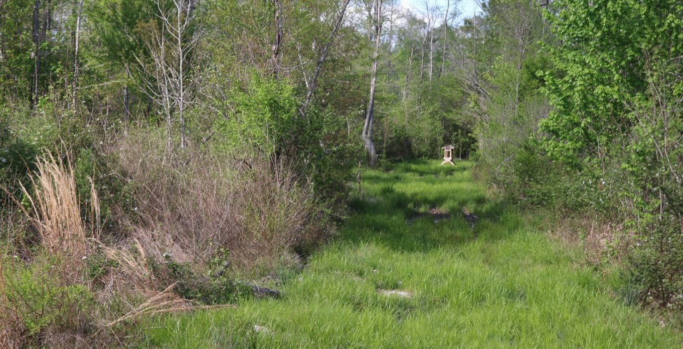 749 IMG 3673