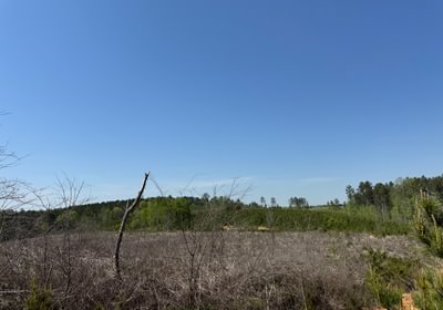 749 IMG 7241