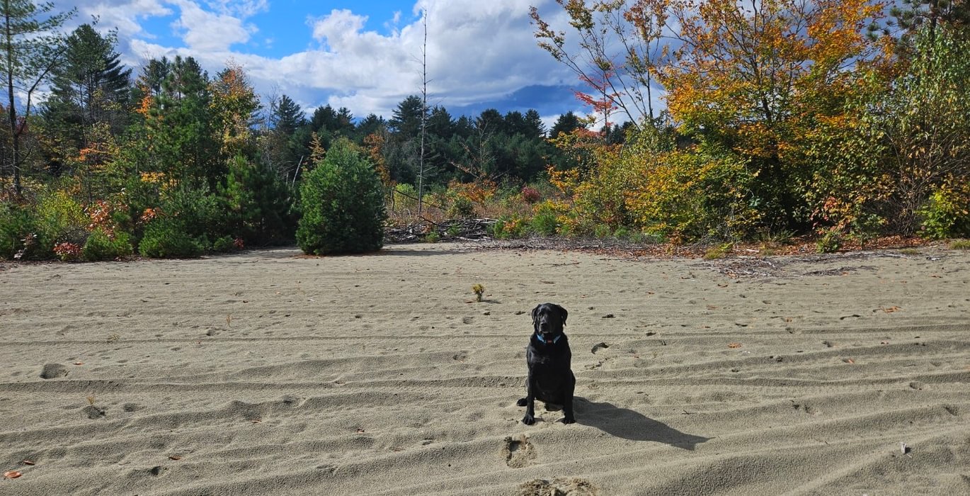 74 8 Lot showing sand resource 4