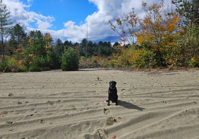 74 8 Lot showing sand resource 4
