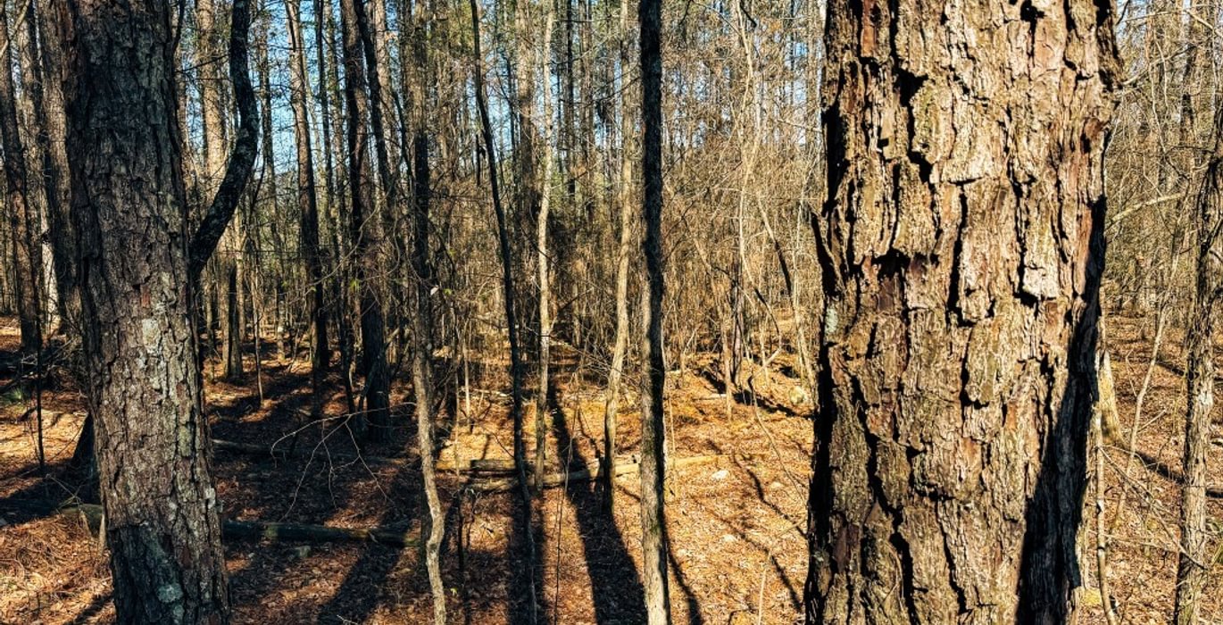 74 IMG 3009 Medium