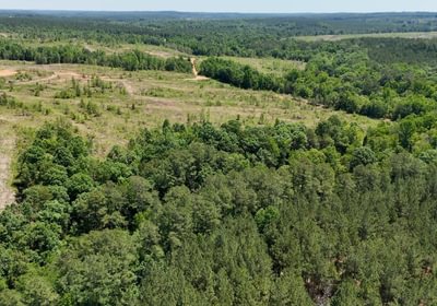 751 AFM Big Mountain Creek Photo 18