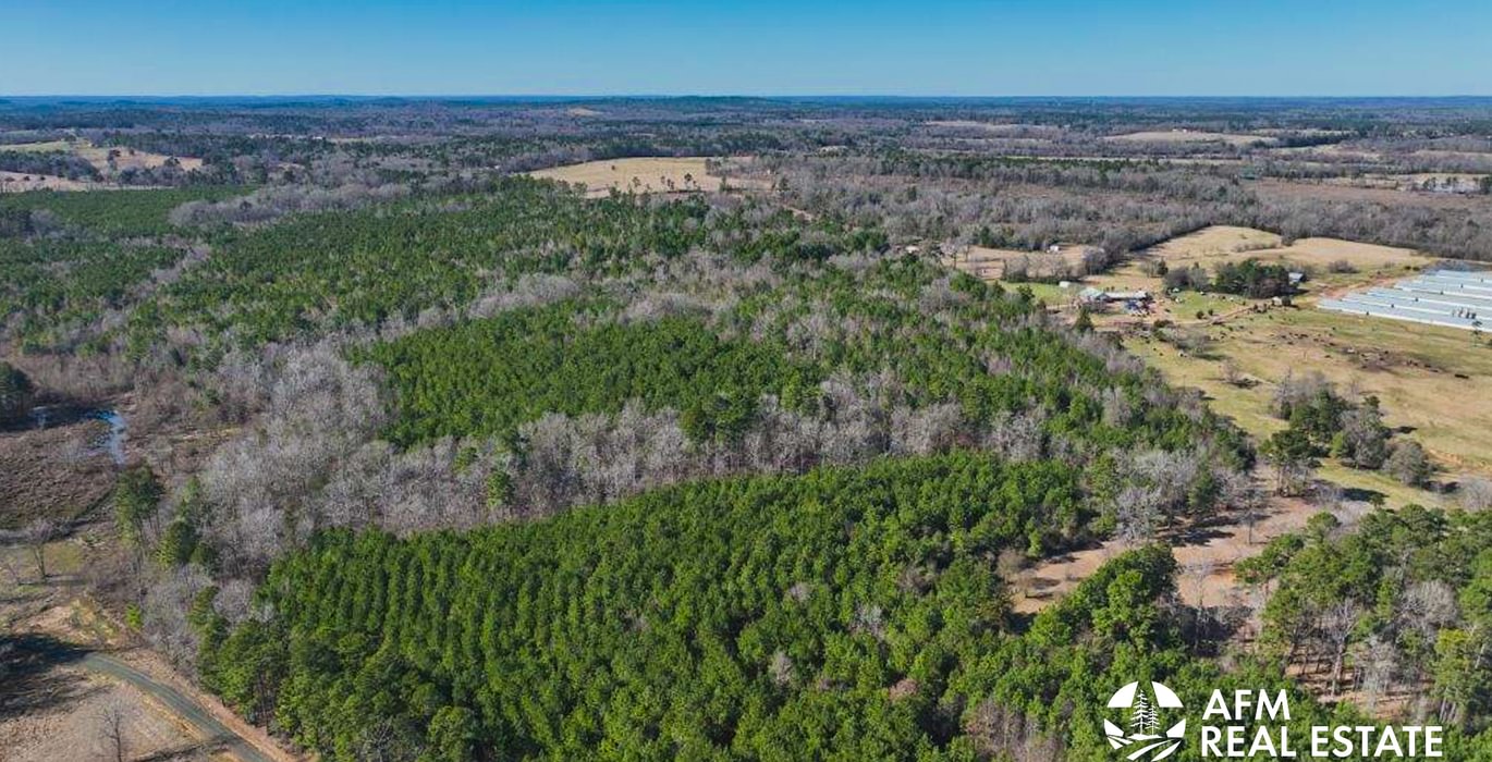 752 DJI 20250201142522 0007 V