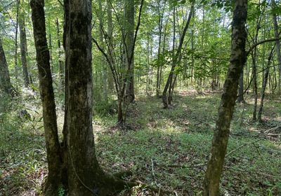 752 IMG 1254
