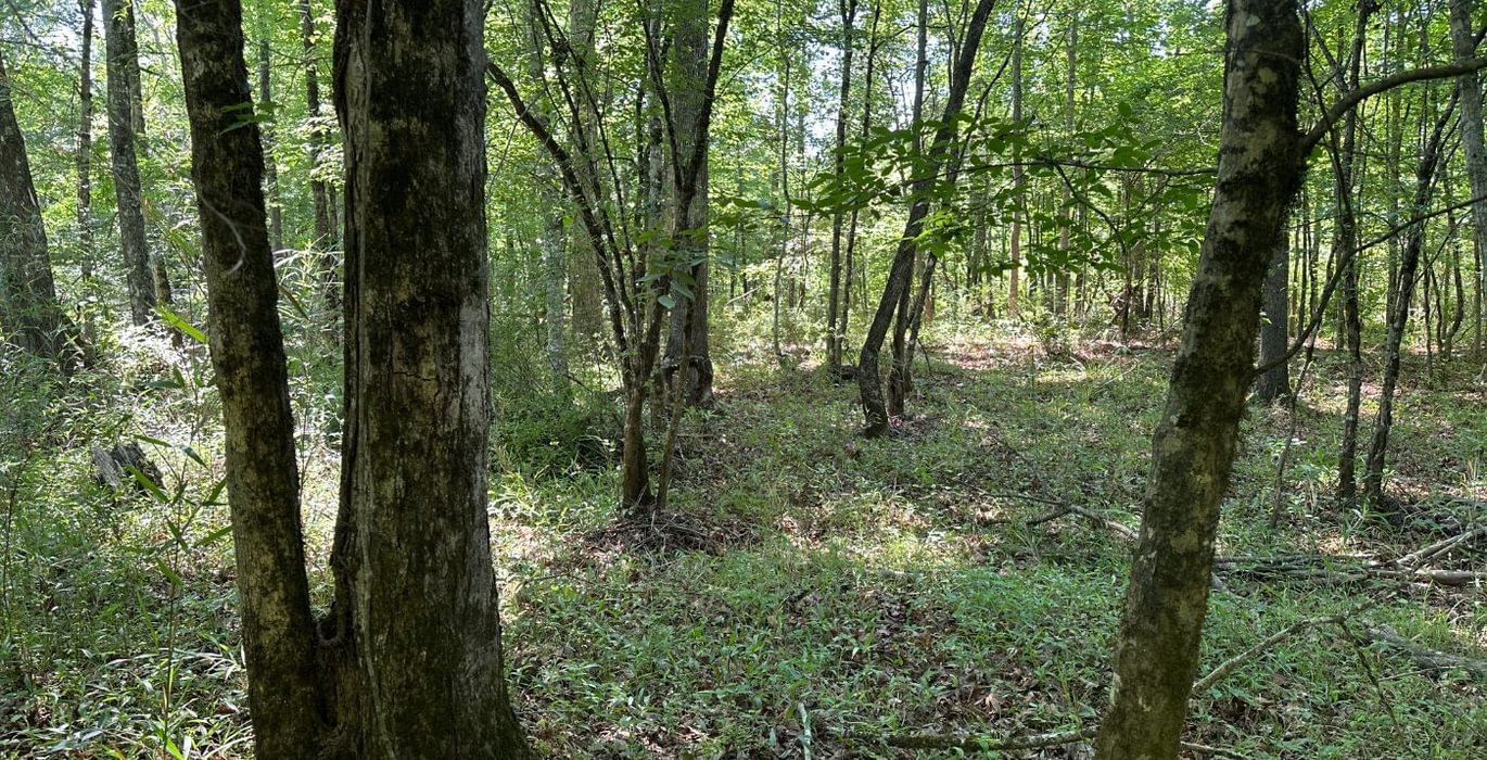 752 IMG 1254