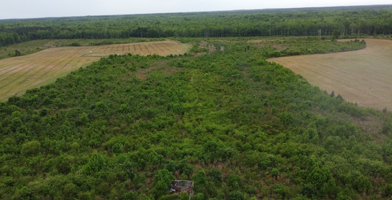 753 DJI 0265