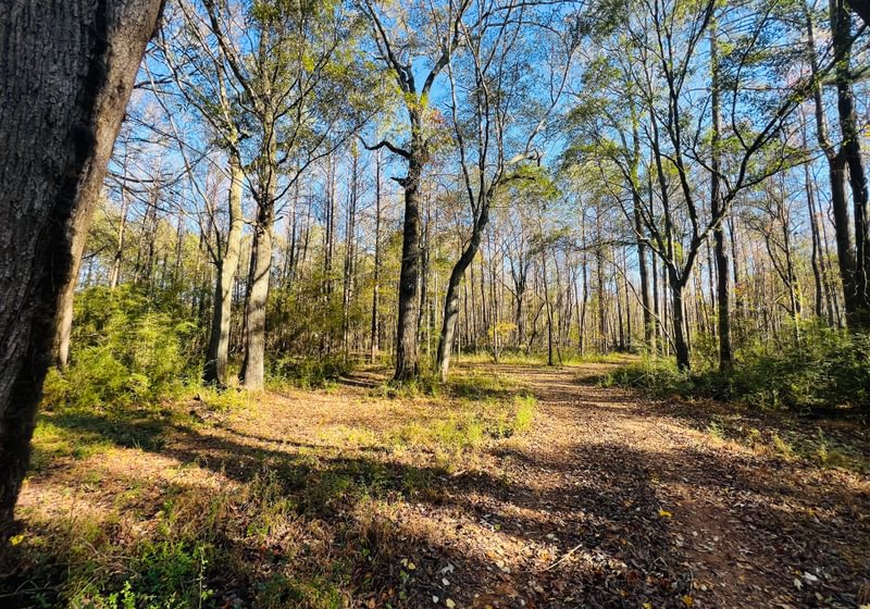Photo 8 of Paradise Farms, 46.84 acres, Henry County, Georgia