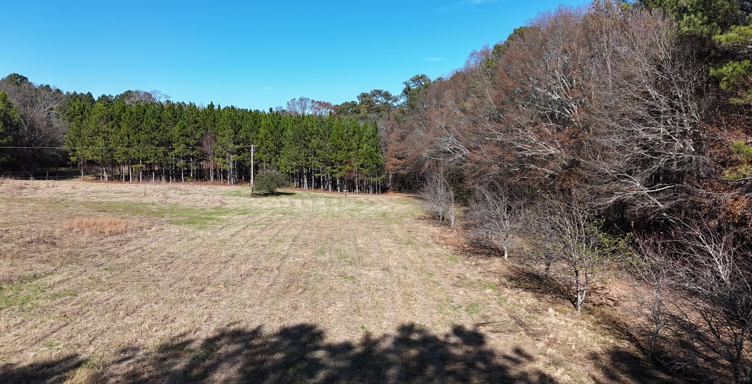 Photo 4 of Paradise Farms, 46.84 acres, Henry County, Georgia