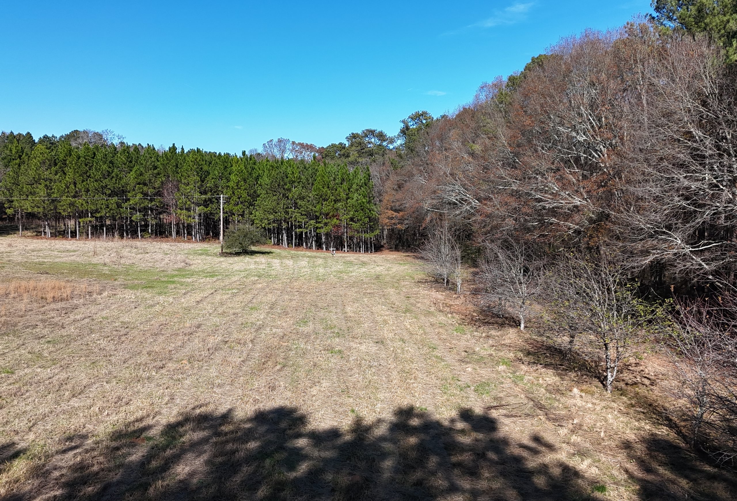 Photo 4 of Paradise Farms, 46.84 acres, Henry County, Georgia