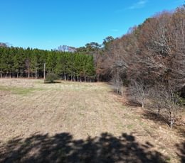 754 dji fly 20241219 132740 0084 1734838582050 photo