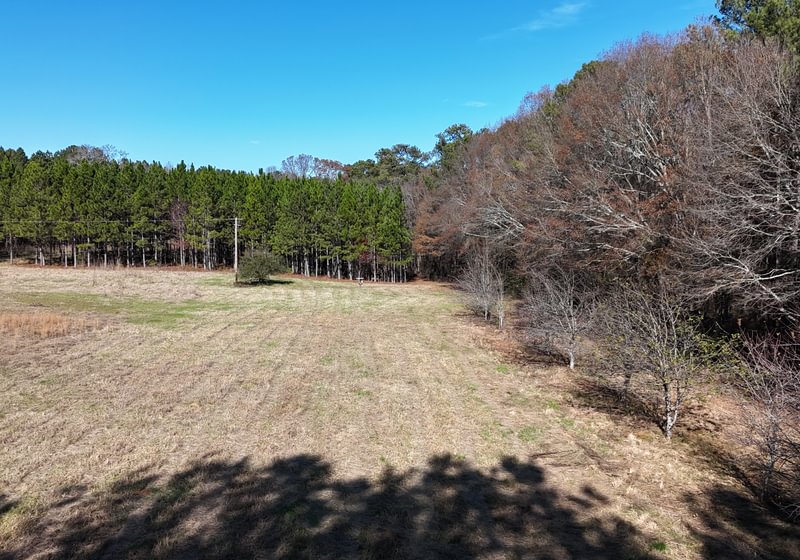 Photo 4 of Paradise Farms, 46.84 acres, Henry County, Georgia