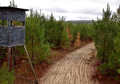 756 AFM Richmond 126 Tract Photo 19