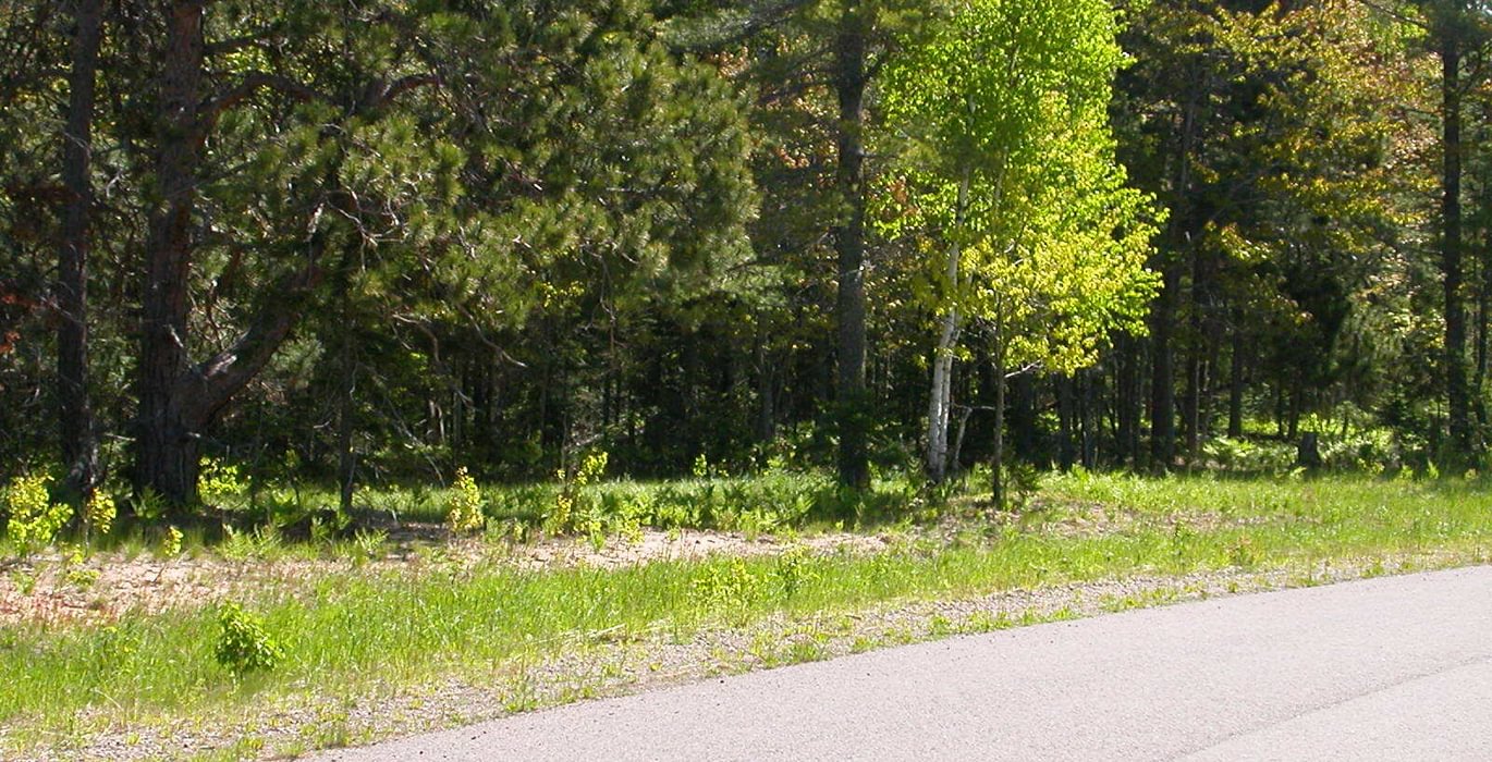 758 Eagle Harbor South 007