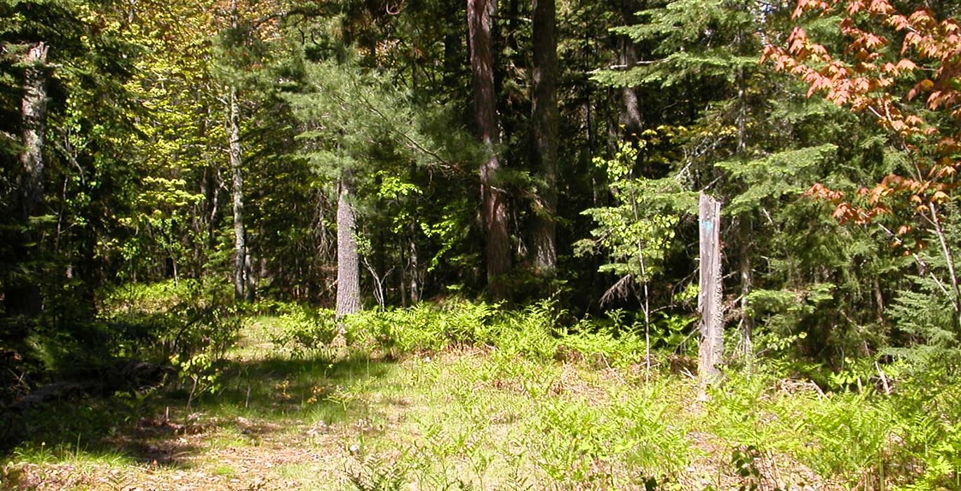 759 Eagle Harbor South 012