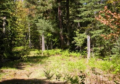 759 Eagle Harbor South 012