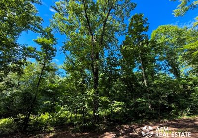 75 IMG 3245 2