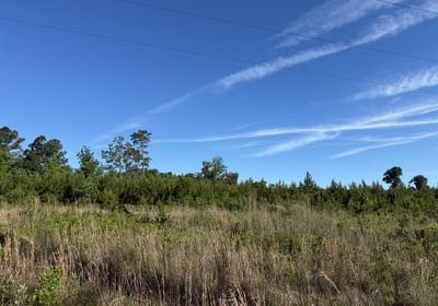 760 IMG 1731