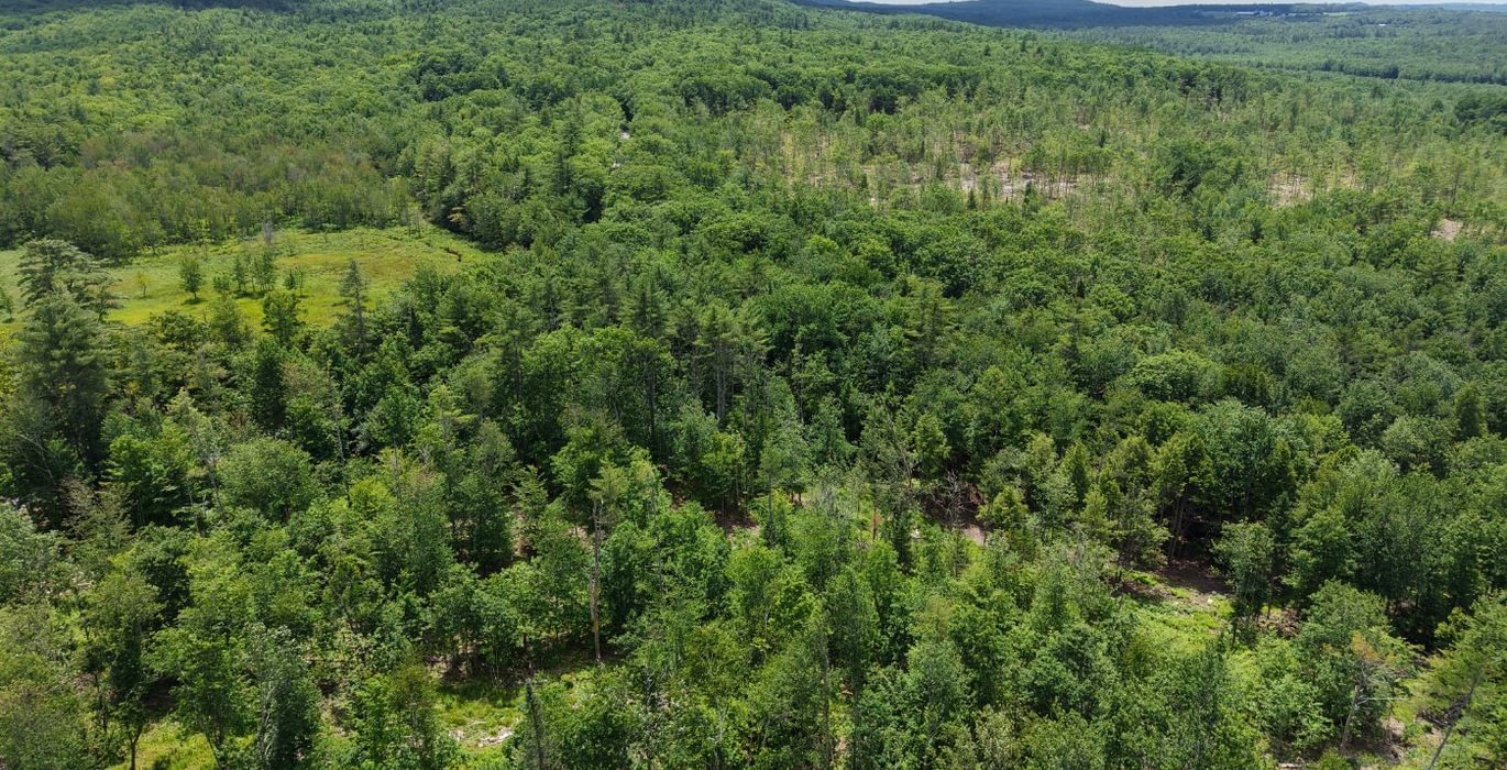 761 lot with wetland in distance