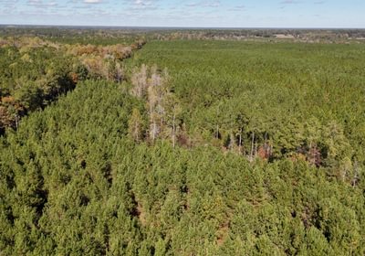 762 AFM Bladen 339 Photo 15