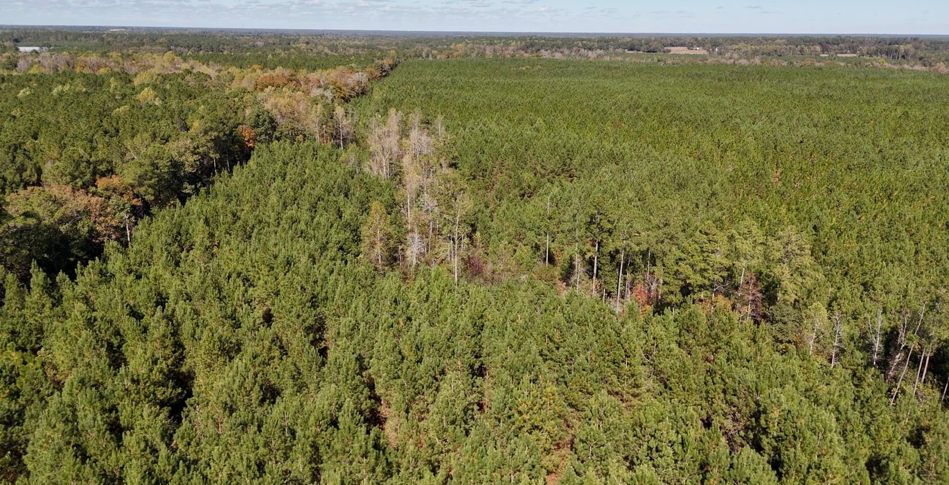 762 AFM Bladen 339 Photo 15