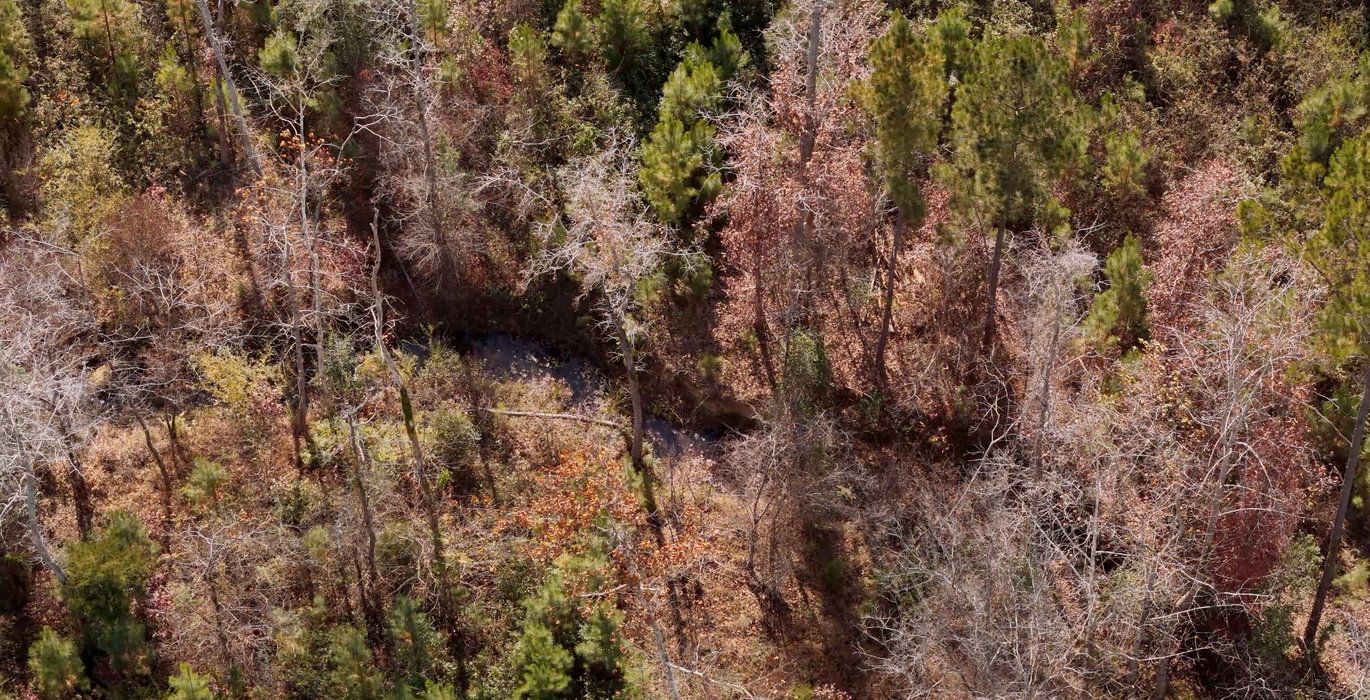 763 AFM Crump Farm Photo 5