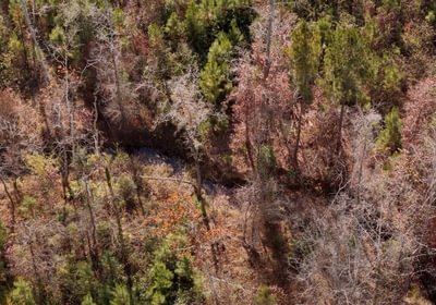 763 AFM Crump Farm Photo 5