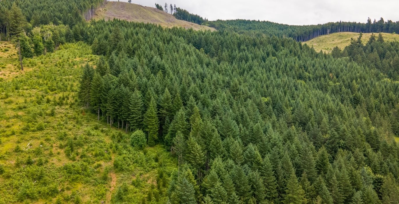 763 DJI 0603 HDR25