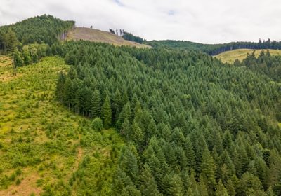 763 DJI 0603 HDR25