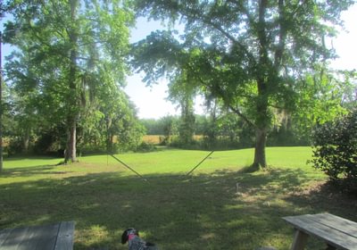 764 IMG 0619