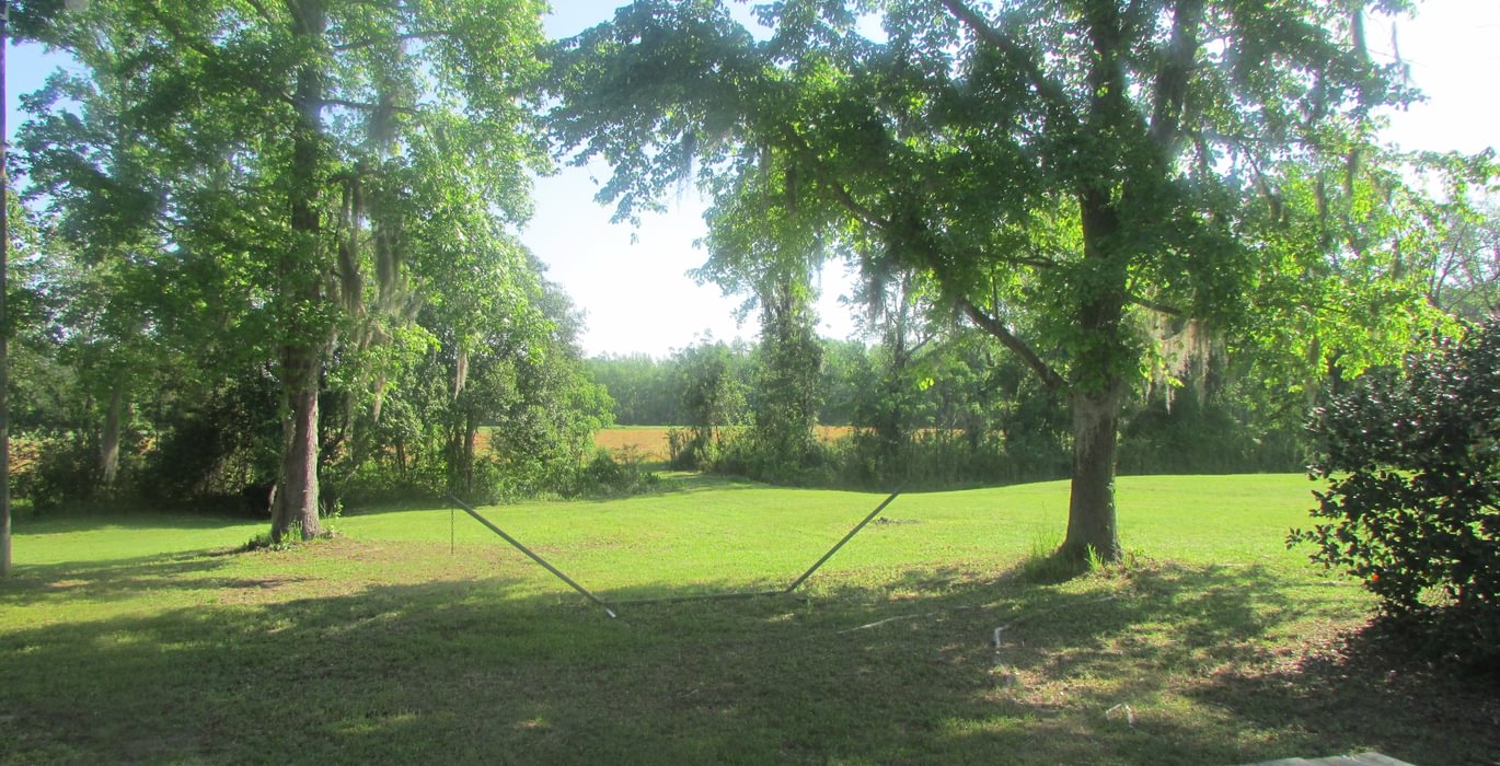 764 IMG 0619