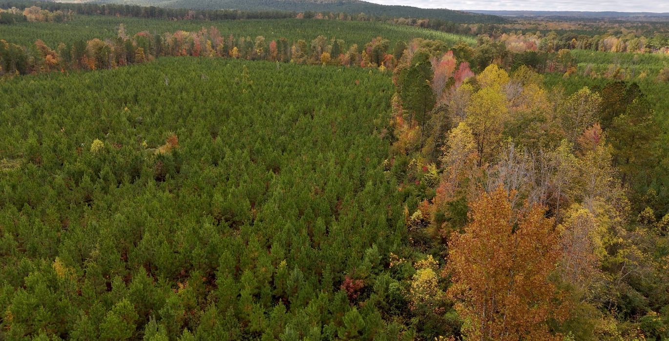 765 AFM Richmond 126 Tract Photo 21