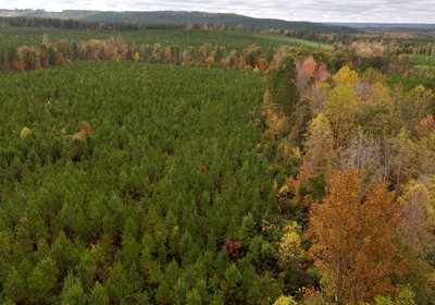 765 AFM Richmond 126 Tract Photo 21