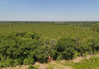 765 Beaverdam Creek Photo 42