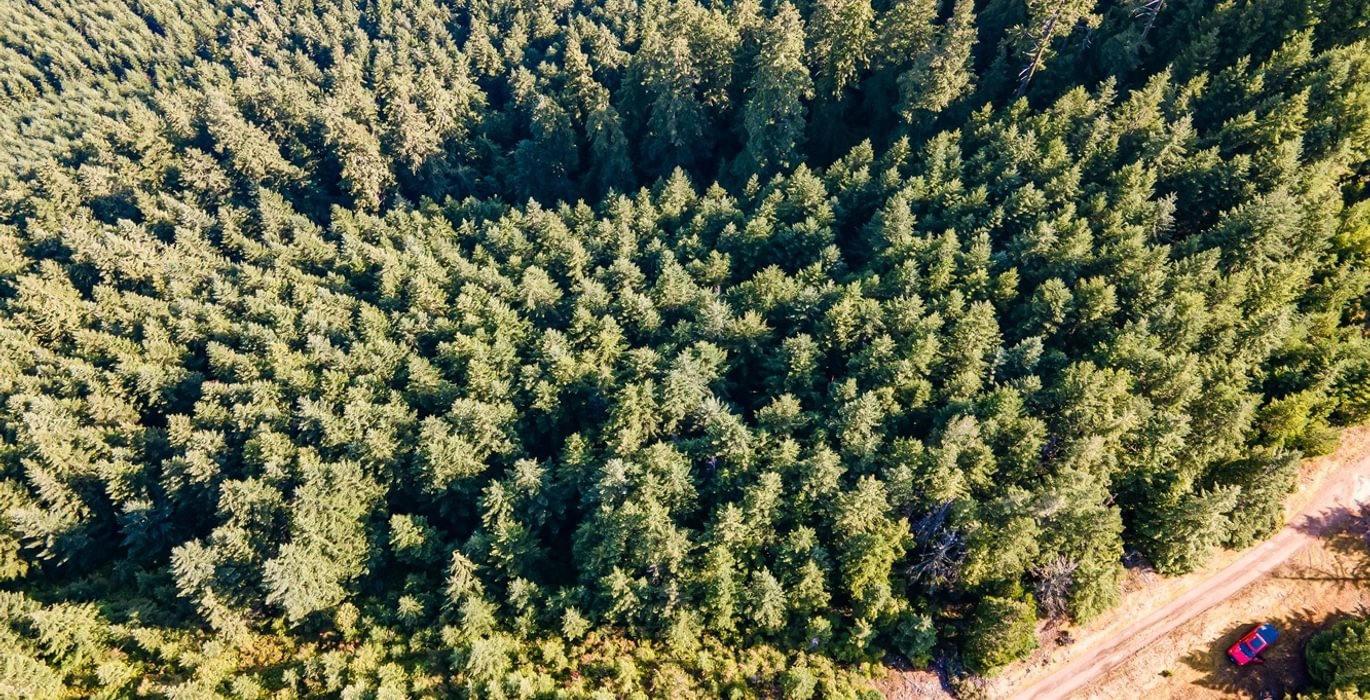 765 DJI 0774 HDR25