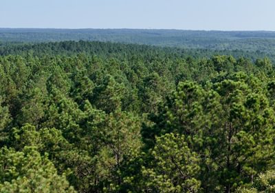 765 Enoree Creek Photo 7