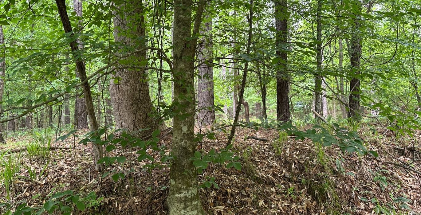 765 IMG 0667