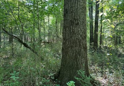 765 IMG 1252
