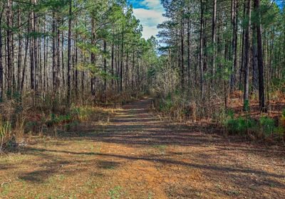 766 AFM Pines at Devereux 6